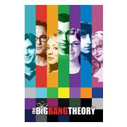 Big Bang Theory Affisch Signals A80