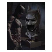 The Dark Knight Mask Special Edition
