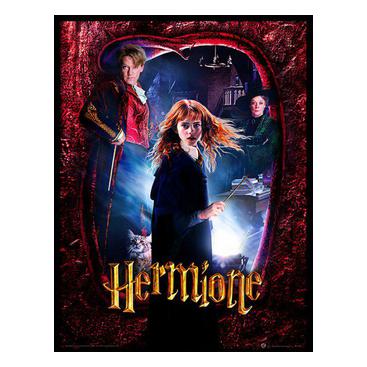 Harry Potter Inramad Bild Hermione