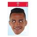 Arsenal Mask Sanchez