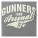 Arsenal T-shirt Script Grå