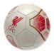 Liverpool Fotboll Prism