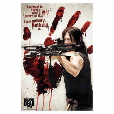 The Walking Dead Affisch Daryl 253