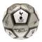 Tottenham Fotboll Signature Metallic