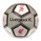 Liverpool Fotboll Signature Metallic