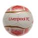 Liverpool Fotboll Prism