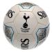 Tottenham Fotboll Prism