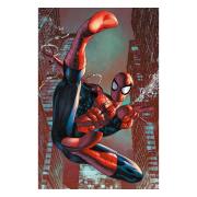 spider-man-affisch-web-sling-70-1