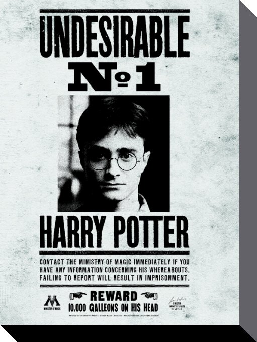 Harry Potter Canvastryck Undesirable No.1