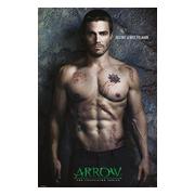 arrow-affisch-destiny-1