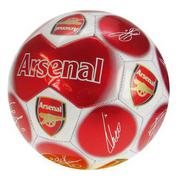 Arsenal Träningsboll Signature
