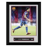 barcelona-bild-fabregas-20-x-15-1