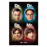 Big Bang Theory Affisch Dr Mr A702