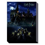 Harry Potter Canvastryck Hogwarts School 40 X 30