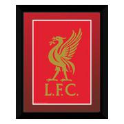 liverpool-bild-crest-20-x-15-1