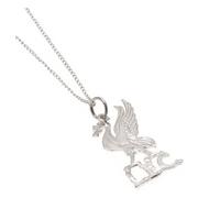 Liverpool Kedja Och Smycke Sterling Silver Liverbird