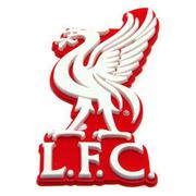 liverpool-kylskapsmagnet-3d-1