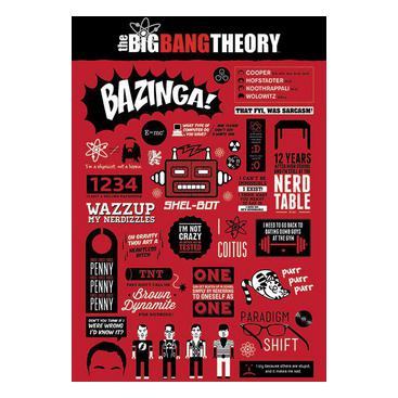 Big Bang Theory Affisch Infographic A703