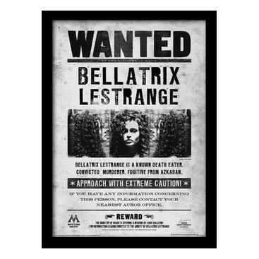 Harry Potter Bild Bellatrix Wanted 40 X 30