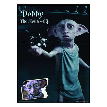 Harry Potter Inramad Bild Dobby