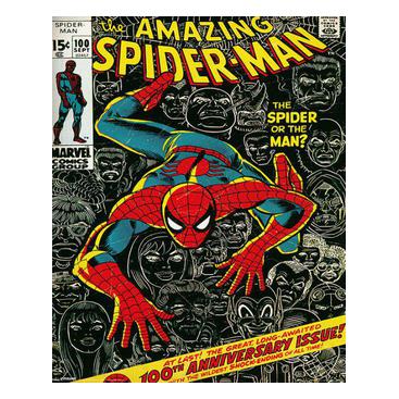 Spiderman Miniaffisch Cover M96