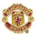 Manchester United Pinn Golden Crest