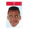 Arsenal Mask Sanchez