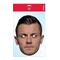 Arsenal Mask Wilshere