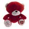 Arsenal Teddybjörn Jm