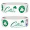 Boston Celtics Armband