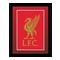 Liverpool Bild Crest 20 X 15