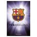 Barcelona Affisch Crest 9