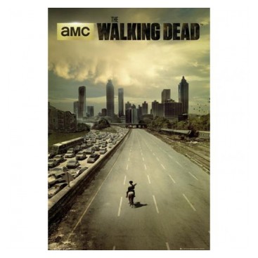 The Walking Dead Affisch City 254
