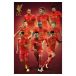 Liverpool Affish Players 76