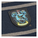 Harry Potter Halsduk Ravenclaw Stripes