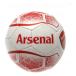 Arsenal Fotboll Prism
