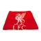 Liverpool Fleecefilt Established