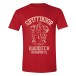 Harry Potter T-shirt Gryffindor Quidditch Röd