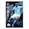 Manchester City Affisch Toure 100