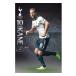 Tottenham Hotspur Affisch Kane 34
