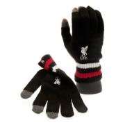 liverpool-vantar-47-brand-1