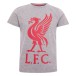 Liverpool T-shirt Liverbird Junior Grå