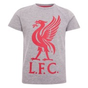 Liverpool T-shirt Liverbird Junior Grå