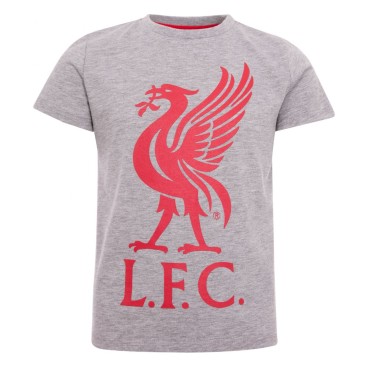 Liverpool T-shirt Liverbird Junior Grå