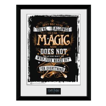 Harry Potter Bild Wand Out 40 X 30