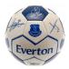 Everton Fotboll Signature