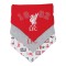 Liverpool Dribbler 3-pack