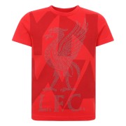 Liverpool T-shirt Ynwa Jr Röd