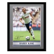 Tottenham Hotspur Bild Kane 20 X 15