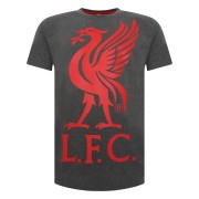 Liverpool T-shirt Liverbird Grå